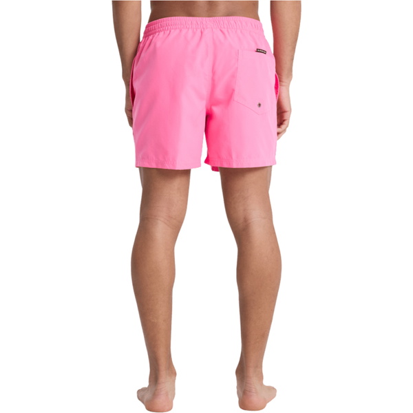 2026 Quiksilver Männer Everyday Volley 15